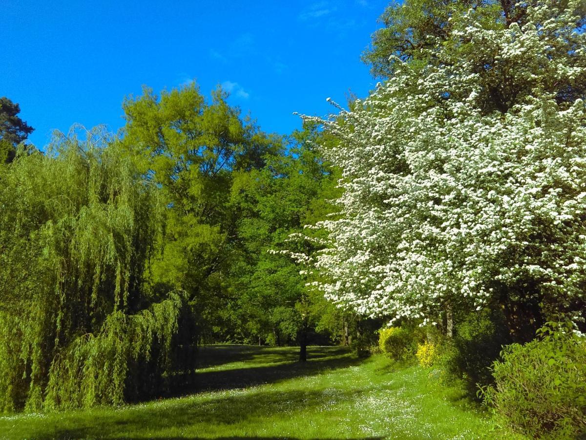 Willa Moulin De Saint Cricq Zewnętrze zdjęcie
